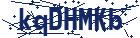 captcha here